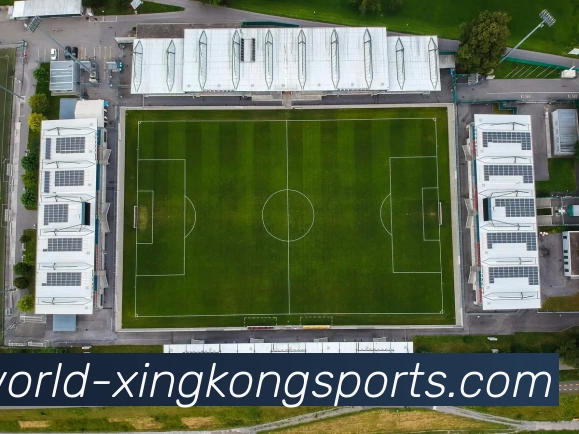 星空官网平台生态图